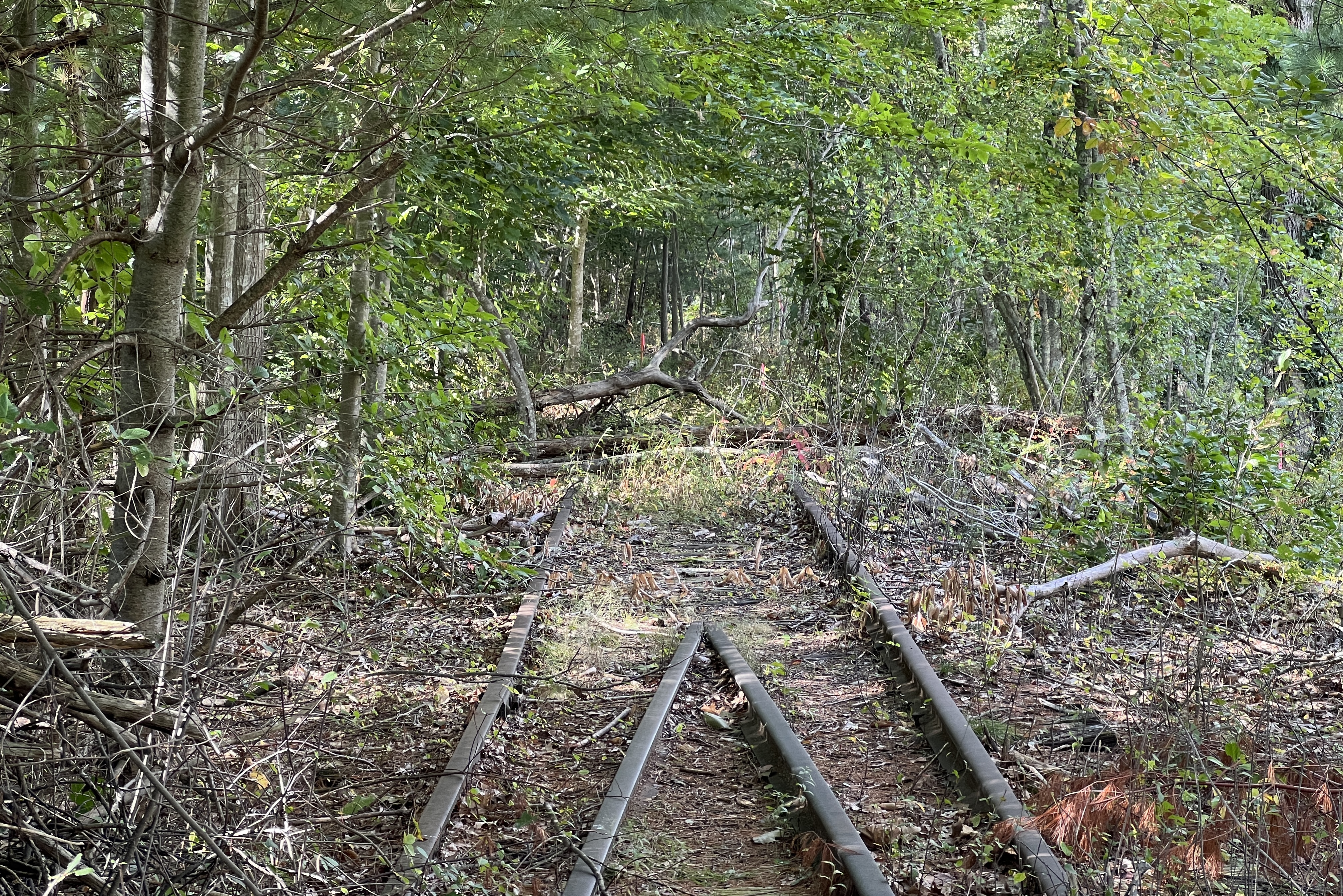 Hanover Branch Rail Trail Extension Project