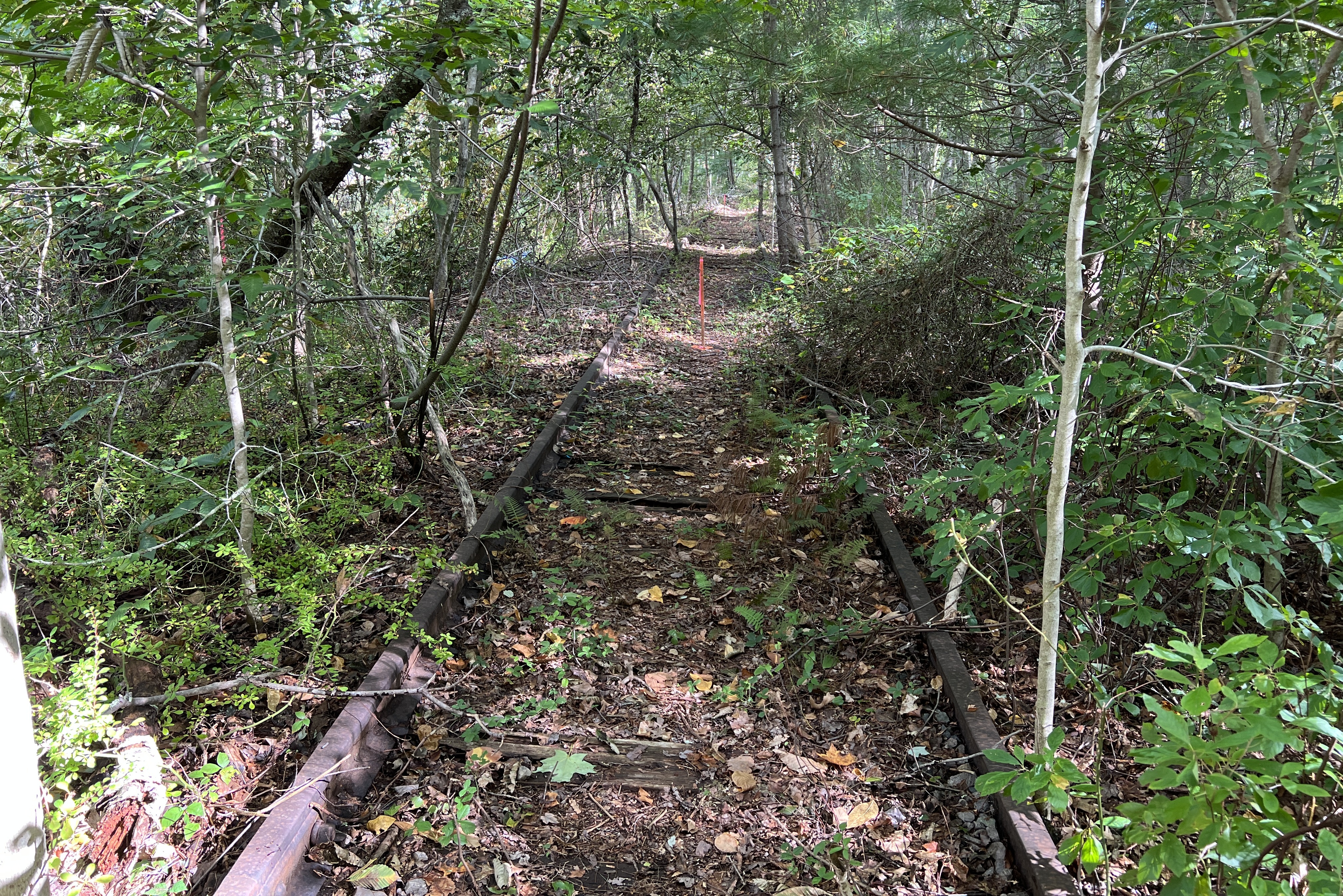 Hanover Branch Rail Trail Extension Project