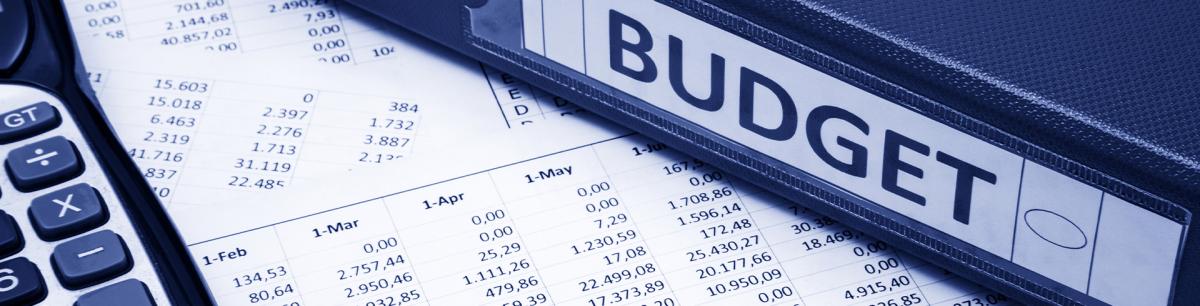 Budget Banner