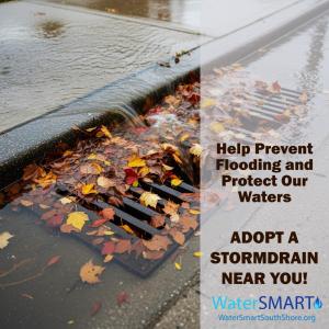 NSWRA Adopt a Stormdrain