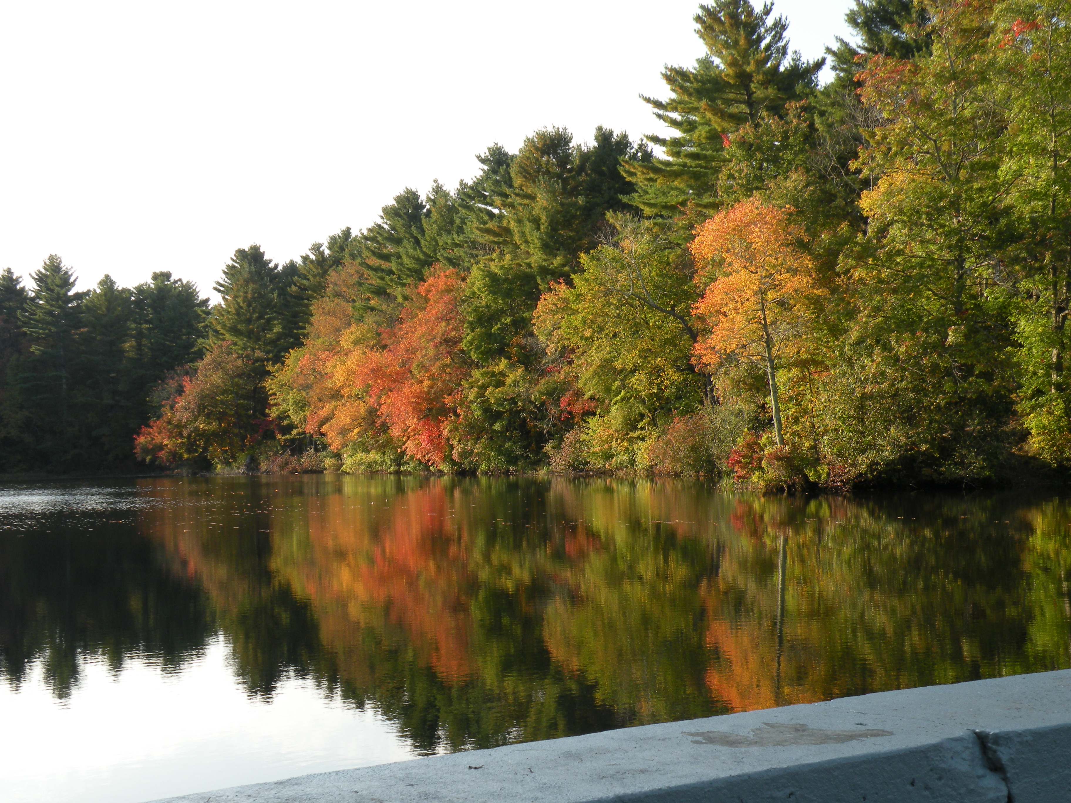 Fall Reflection October 5, 2013 (photo courtesy of Diane Hallett)
