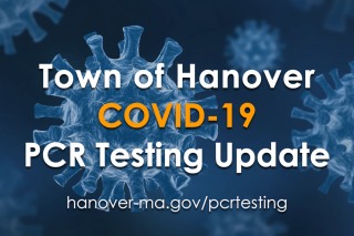 C19 PCR Testing Update