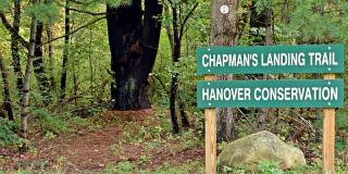 Chapman's Landing