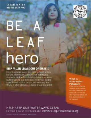 Leaf Hero