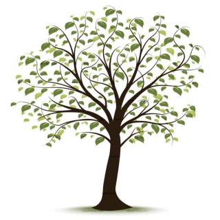 family tree