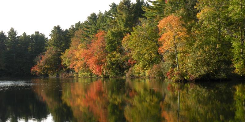 Fall Reflection October 5, 2013 (photo courtesy of Diane Hallett) Fall Reflection October 5, 2013 (photo courtesy of Diane Hallett)