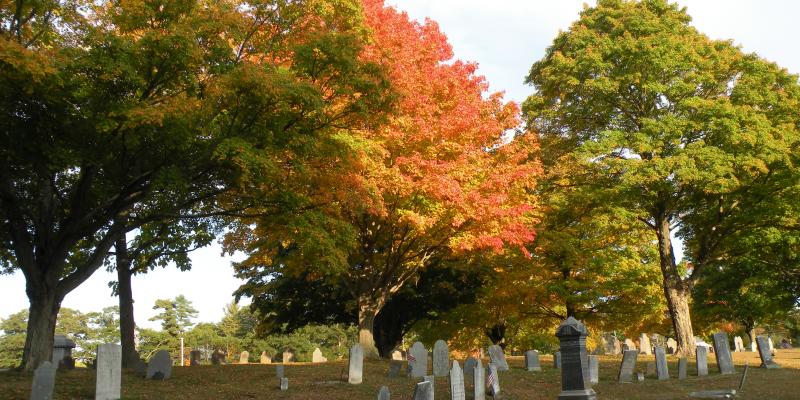 Hanover Center Cemetery (photo courtesy of Diane Hallett) Hanover Center Cemetery (photo courtesy of Diane Hallett)